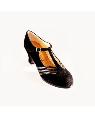 Flamencoschuh Class