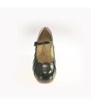 Flamencoshoe Acuarela