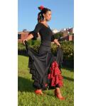 Flamencorock Olè España Alegria VI