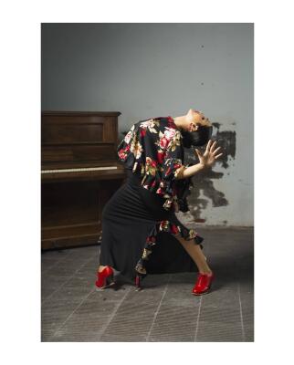 Flamenco Skirt Vicuña