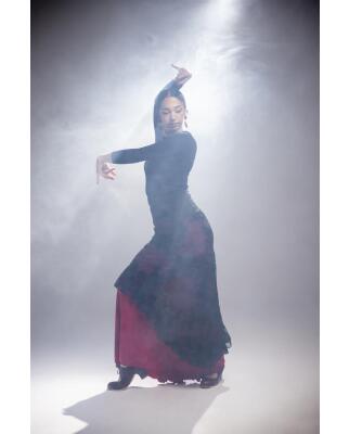 Falda de Flamenco Sombra