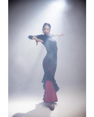 Falda de Flamenco Sombra