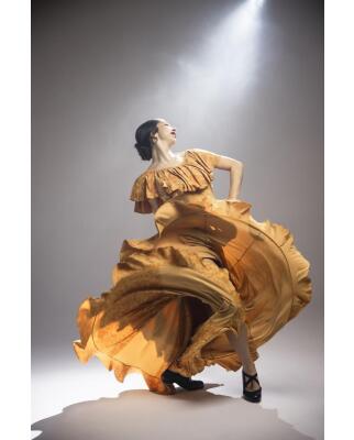Falda de Flamenco Pétalo