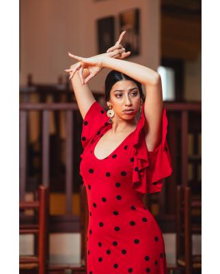 Vestido de Flamenco Temple Estampado