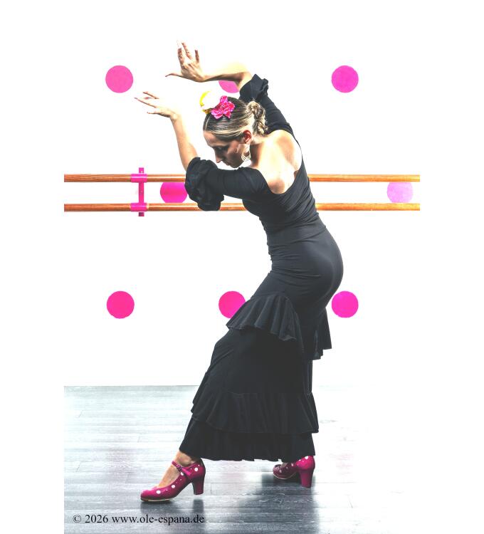 Azabache V, Flamenco Rock