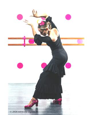 Azabache V, Flamenco Rock