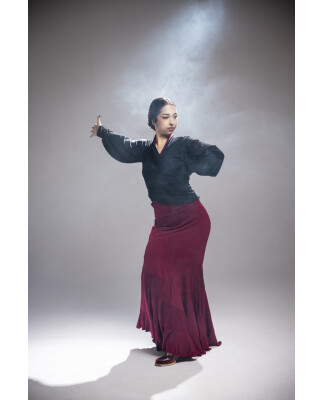Flamencorock Maule