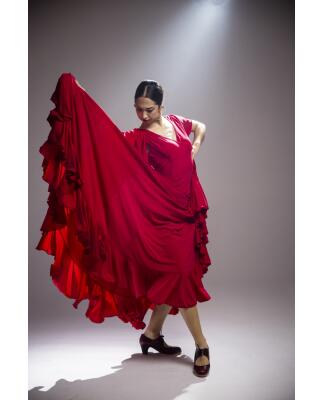 Flamenco Dress Olas