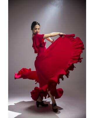 Flamenco Dress Olas