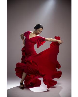Flamenco Dress Olas
