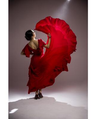 Flamenco Dress Olas