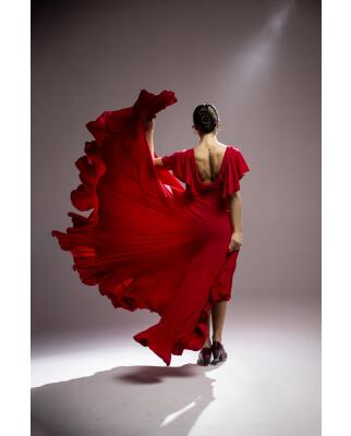 Flamenco Dress Olas