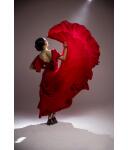 Flamenco Dress Olas