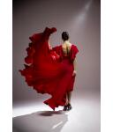 Flamenco Dress Olas