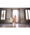 Flamenco Dress Amelia Estampado