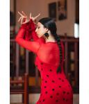 Flamenco Dress Barletta estampado