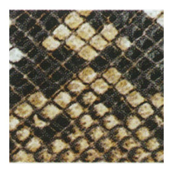 serpiente