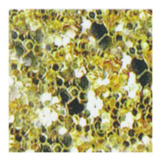 glitter champagne
