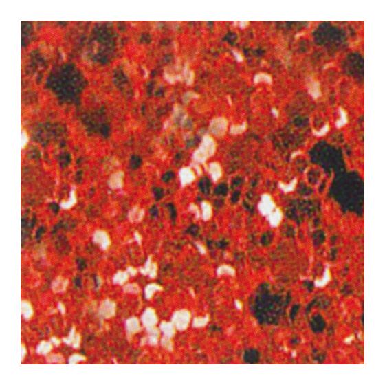 glitter rot
