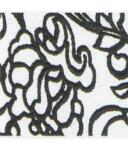 clavel blanco