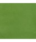 Wildleder hellgrün