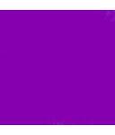 purple (LY113)