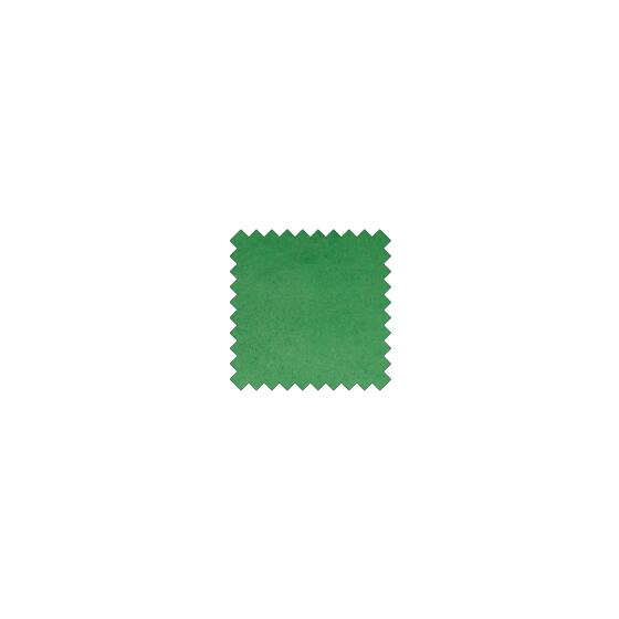 Suede c210 light green