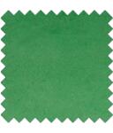 Suede c210 light green