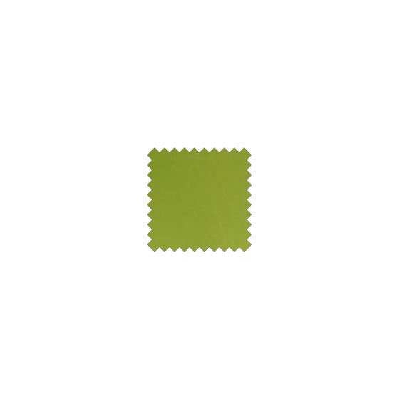 Leather c340 green