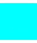 turquoise LY14