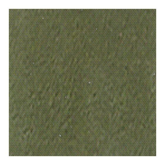 moss green
