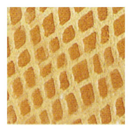 serpiente beige