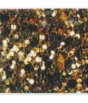Glitter bronce