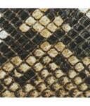 serpiente