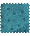 Avestruz turquoise